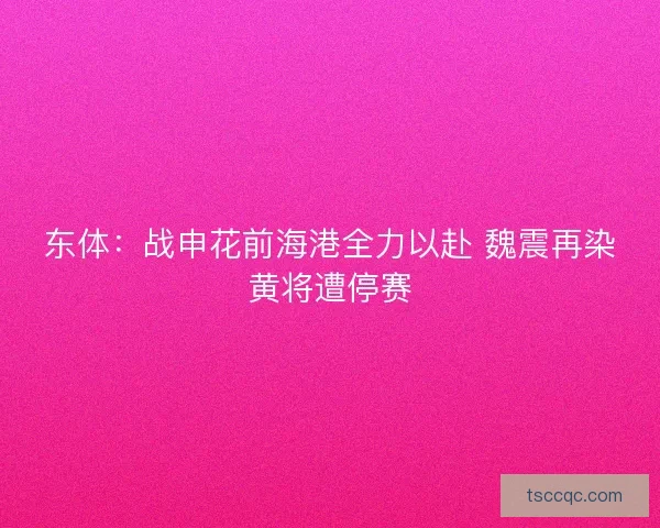 东体：战申花前海港全力以赴 魏震再染黄将遭停赛